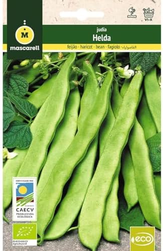 Mascarell Semillas, JUDÍA HELDA, Semillas Ecológicas, 15 Gramos