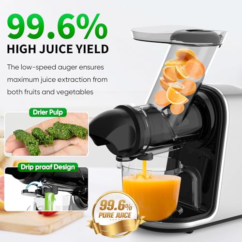 COZII Cold Press Juicer Machines,Slow Masticating Juicer Extractor Soft/hard Mode, 3.6" Large Feed Chute For Vegetable and Fruit, Easy to Clean Juicer, Quiet Motor, High Juice Yield - Image 3