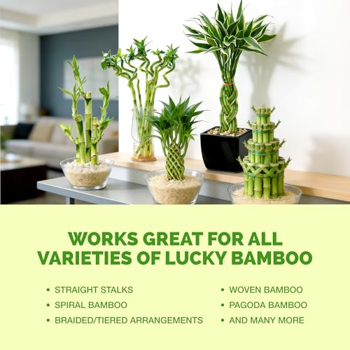 Fertilizante líquido Lucky Bamboo 8 oz miniatura 6