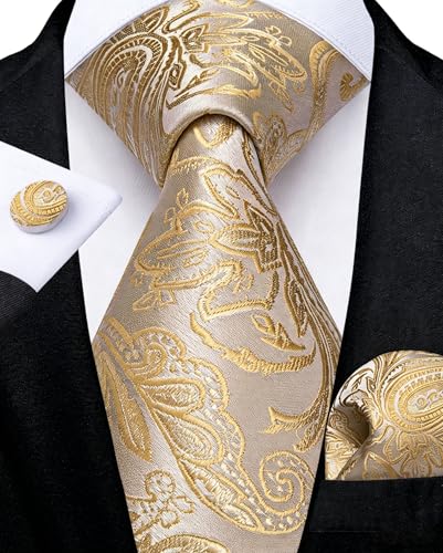 Image of DiBanGu Mens Paisley Tie Set Silk Woven Jacquard Necktie and Pocket Square Cufflinks Gift Set for Wedding Bussiness