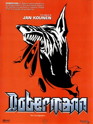 Amazon.com: Dobermann: Prints: Posters & Prints