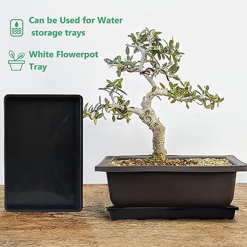 RooTrimmer 5 Pack Nursery Potting Tray, Carrying and Holding Plant Tray for Seeds Starting Pot, Collecting Drainage Water(Black) - Image 6
