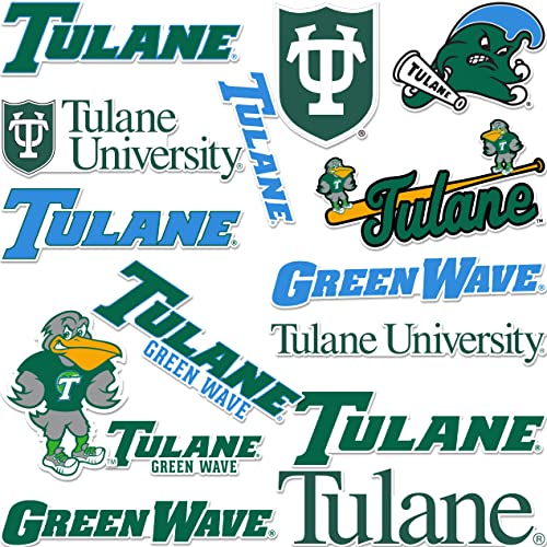 Desert Cactus Tulane University Sticker -Green Wave Vinyl - Tulane Green Wave Decal Laptop Water Bottle Car Scrapbook (Type A)