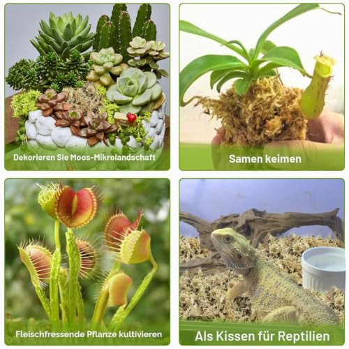 Legigo 500g Premium Sphagnum Moos - ergibt 25L Spagnummoos für Pflanzen – Ansicht 5