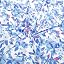 Blue Floral Bright