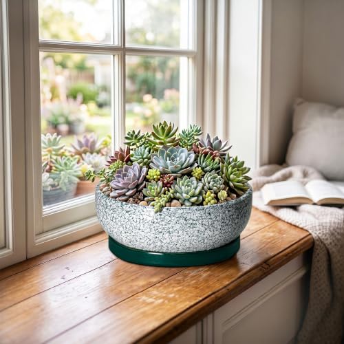 Wliror Succulent Pots, 8 Inch Ceramic Bonsai Pots with Tray, Texture Green by Wliror - Used condition - Image 3