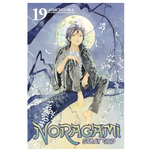 Noragami: Stray God 19