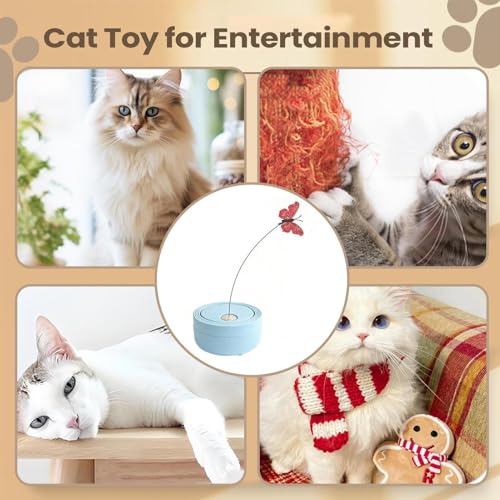 Jouet interactif pour chat enrichissement et bonheur du félin - 5