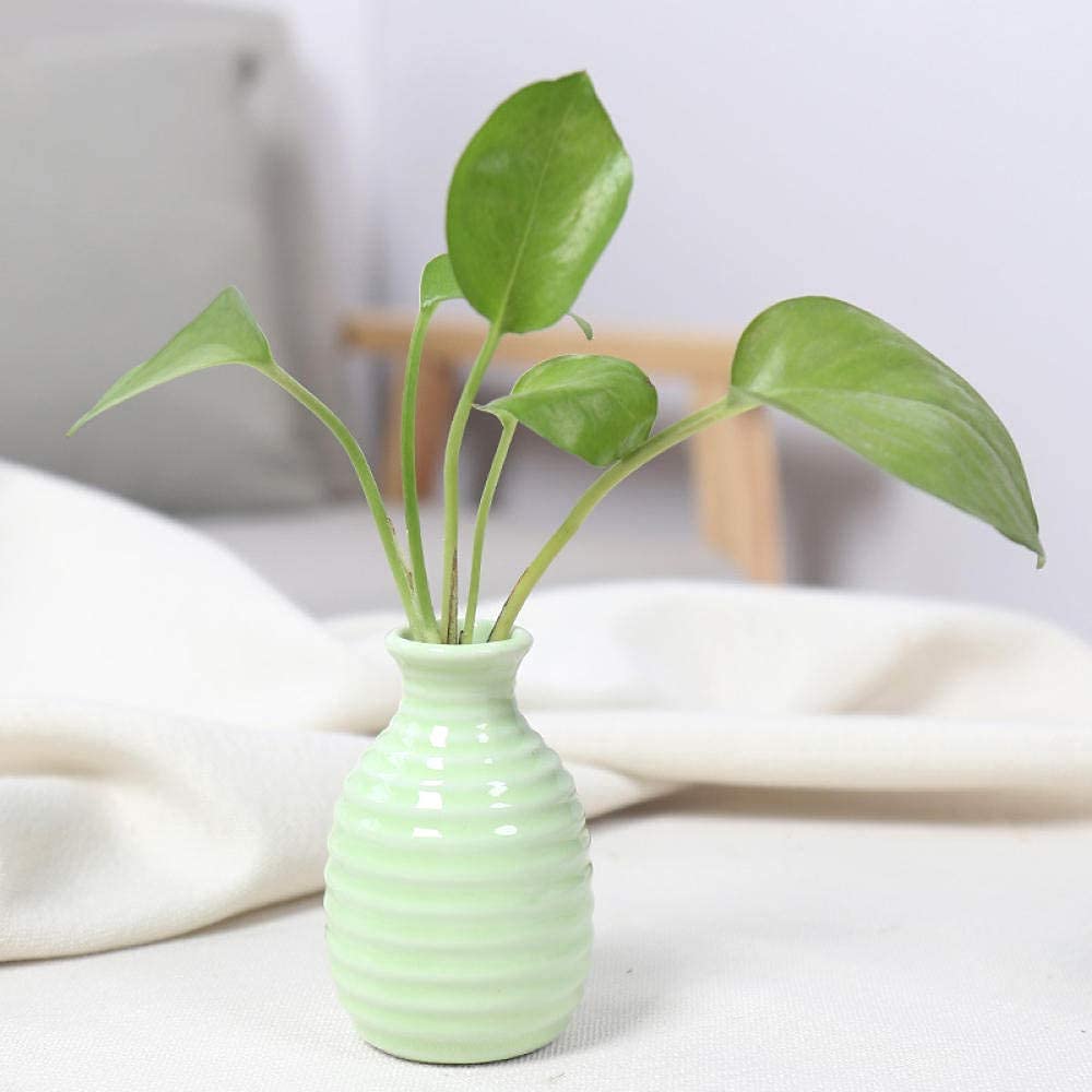 花瓶 ケトル型 レトロ セラミック 花瓶 アレンジメント リビングルーム