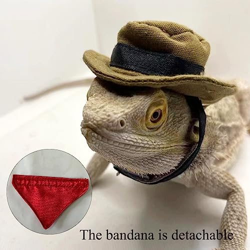 Sombrero y bandana cowboy para dragón barbudo y pequeños reptiles miniatura 3