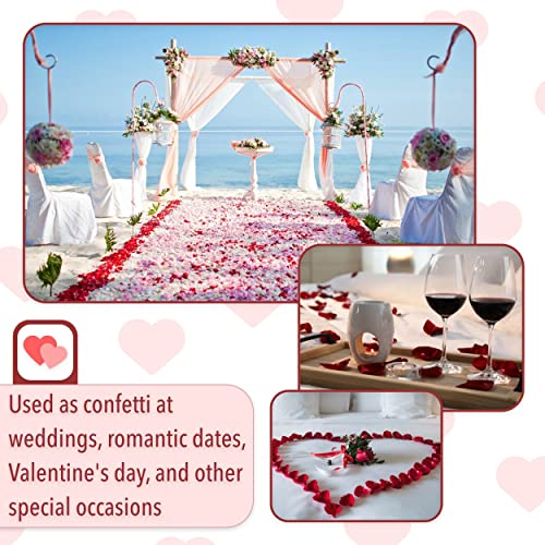 Mr. Pen- Rose Petals, Dark Red, 1000 Pcs, Rose Petals For Wedding, Artificial Rose Petals, Red Rose Petals For Romantic Night, Flower Petals, Red Rose Petals, Fake Rose Petals, Valentine Decor #TOP5
