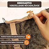 Katzengeschirr Easy Walking Katzengeschirr 2.0 ausbruchsicher, verstellbar, Nicht über Kopf Bengal, Maine Coon kleine und große Katzen (Braun, M)