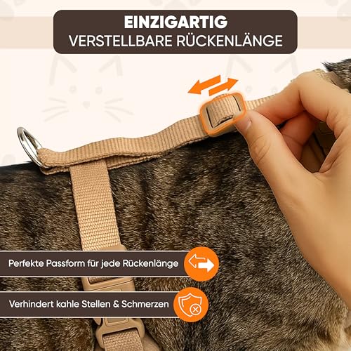Katzengeschirr Easy Walking Katzengeschirr 2.0 ausbruchsicher, verstellbar, Nicht über Kopf Bengal, Maine Coon kleine und große Katzen (Braun, M)