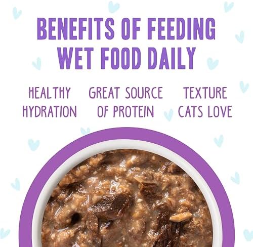 Weruva B.F.F. OMG - Best Feline Friend Oh My Gravy!, Booya! Beef & Chicken in Gravy Cat Food, 2.8oz Pouch (Pack of 12) — view 4