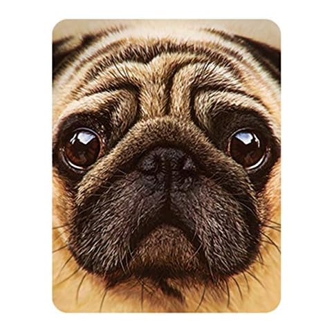 3D LiveLife Pug Magnet by Deluxebase Cover