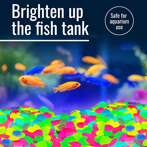 Graham Products 450 Pieces Glow In The Dark Rocks | Indoor & Outdoor Use - Garden, Fish Tank Pebbles, Planter, Walkway Decoration & More | For Kids Aged 6 & Up | Powered By Sunlight - Multi-Colored #TOP4