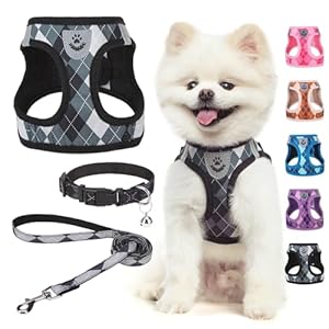 SCENEREAL Small Dog Harness and Leash Collar Set, Step in No Pull Soft Mesh Dog Harnesses for Small Medium Sized Dogs Puppy and Cats Outdoor Walking, No Chock Reflective Vest Harness, Black Plaid S