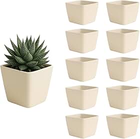 Kit com 10 Vasos Quadrados 750 ml para Plantas e Suculentas