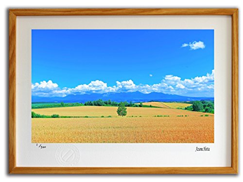 WN[ŉ kC̓ci002 lG CeA Ǌ| A[g |X^[ tbN C sJ\ z