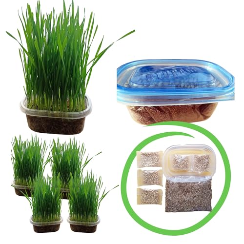 TheGuard Cat Grass Seeds 5-Packs of Grass Seeds Indoor Pet Hairball & Digestive Control Oral Health Stress Relief & Play