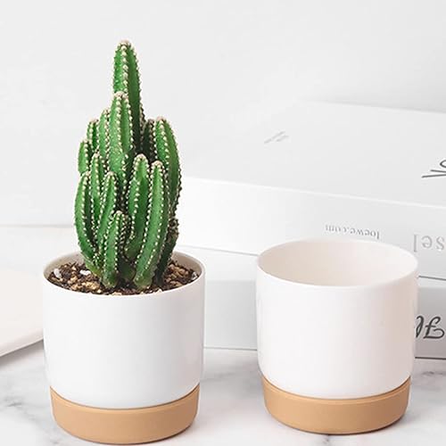 Miniatura 9 de Maceta de plástico de cerámica de imitación de alta dureza-GrandePequeña Plantadora de suculentas blancas Macetas de plástico Macetas de plantas