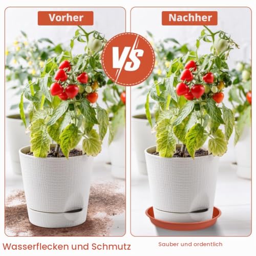 vsshe 5 Stück Blumentopf Untersetzer, Untersetzer für Blumentöpfe, Blumentopfmatte, Kunststoff Blumenuntersetzer Rund aus Ø 25 cm… – Ansicht 4