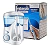waterpik ultra wp100