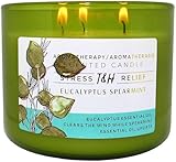 T&H Eucalyptus Spearmint Aromatherapy Candles Stress Relief Pure Soy Wax 3-Wick Candle 80 Hour Burn 15.8 Ounce Long Lasting