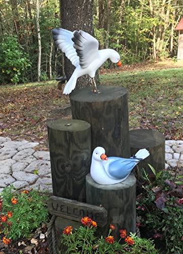 Chesapeakecrafts Life Size Landing and Sitting Seagull Pair. Large Weatherproof Seagull Replicas are Made of Durable Resin and Hand Painted. Perfect for Outdoor Nautical Displays.