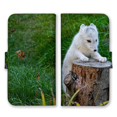 OPPO A54 5G OPG02 �p �P�[�X �蒠�^ �I�b�|A54 �X�}�z�P�[�X �z�b�L���N�M�c�l �L�c�l �k�Ɍ� �ʐ^ ���� ���t���t ���ӂ��� �J���[05