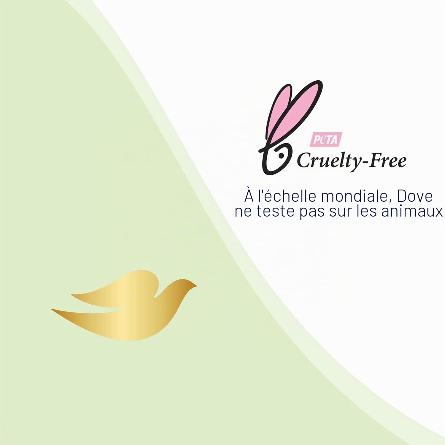 Dove Lot de 6 déodorants anti-transpirant 48H sans alcool 50 ml