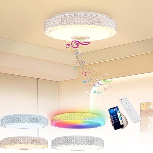 SAILUN 60W RGB LED Ceiling Light with Bluetooth Speaker, Dimmable Flush Mount, App & Remote Control, Star Crystal