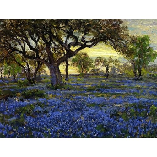 Toile paysage du Texas grand format pour grand salon lumineux