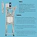 HQHAOTWU Glass Reactor 316 Stainless Steel Double-Layer Reaction Kettle 10L Chemical Jacketed Reactor Vessel with Support Frame and Digital Display Adjustable Speed for Reaction Distillation 110V