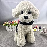 Newtensina Fliegen Hundegeschirr mit Diamante - Rosa - L