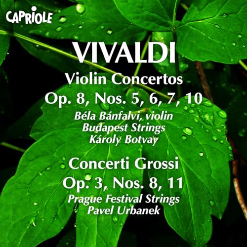 The Prague Festival Strings