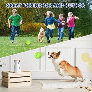 Large Giggle Ball for Dogs, Squeaky Dog Toys Ball, Durable Interactive Dog Toys Ball for Medium/Large Dogs, Fun Giggle Sounds When Rolled or Shaken Safe Herding Balls Dog Gift, 5.91inch Large Giggle Ball for Dogs, Squeaky Dog Toys Ball, Durable Interactive Dog Toys Ball for Medium/Large Dogs, Fun Giggle Sounds When Rolled or Shaken Safe Herding Balls Dog Gift, 5.91inch