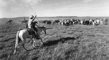 Hardcover Amarillo: Through Our Eyes: Celebrating 100 Years Book