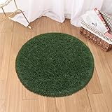 Fixseed Small Rug for Bedroom...