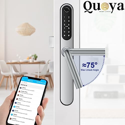 QUOYA D1 Smart Türschloss, 75° Max Drehwinkel, IP55 Wasserdicht, Entriegelungsmethode (Fingerabdruck, RFID-Tastenkarte, Pin/Passcode, App, Mechanischer Schlüssel) (Silver)