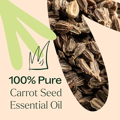 Aceite Esencial de Semilla de Zanahoria 10 mL miniatura 5