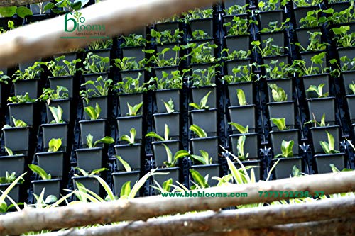 BIO BLOOMS AGRO INDIA PRIVATE LIMITED Plastic Hanging Pot -Blackcolour, Standard, Pack of 15 Frame with 45 Pots