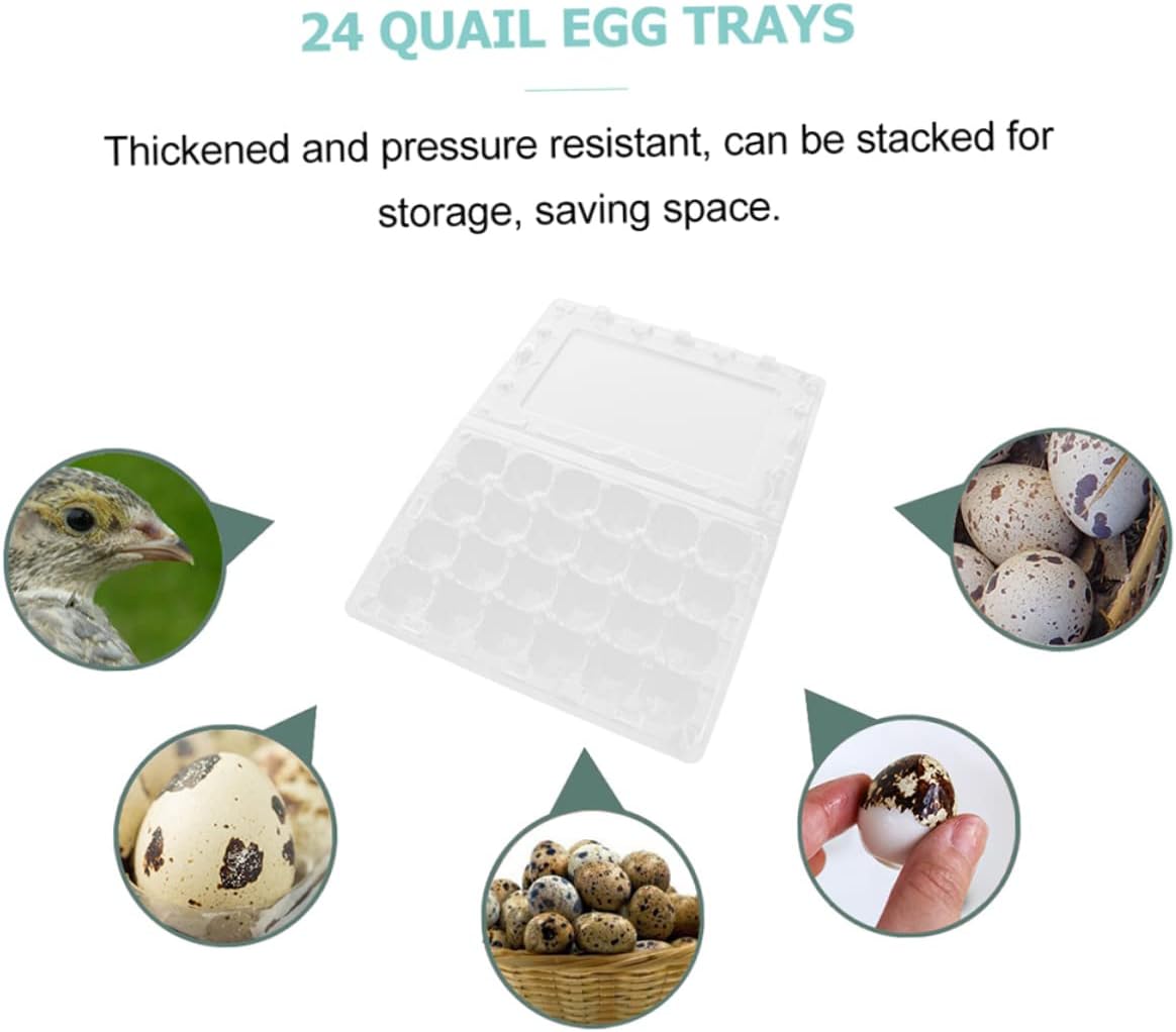 72 Pcs Quail Egg Tray Plastic Trays Deviled Eggs Fridge Egg Organizer Plastic Container Small Egg Cartons Reusable Egg Cartons Egg Storage Case Eggs Keeper Packing Box Disposable