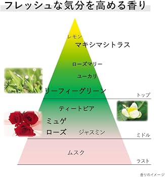 Amazon.co.jp: KANEBO（カネボウ）クリームインデイⅡ 朝用クリーム＋
