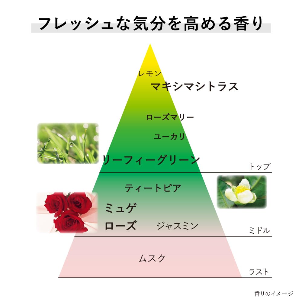Amazon.co.jp: KANEBO（カネボウ）クリームインデイⅡ 朝用クリーム＋