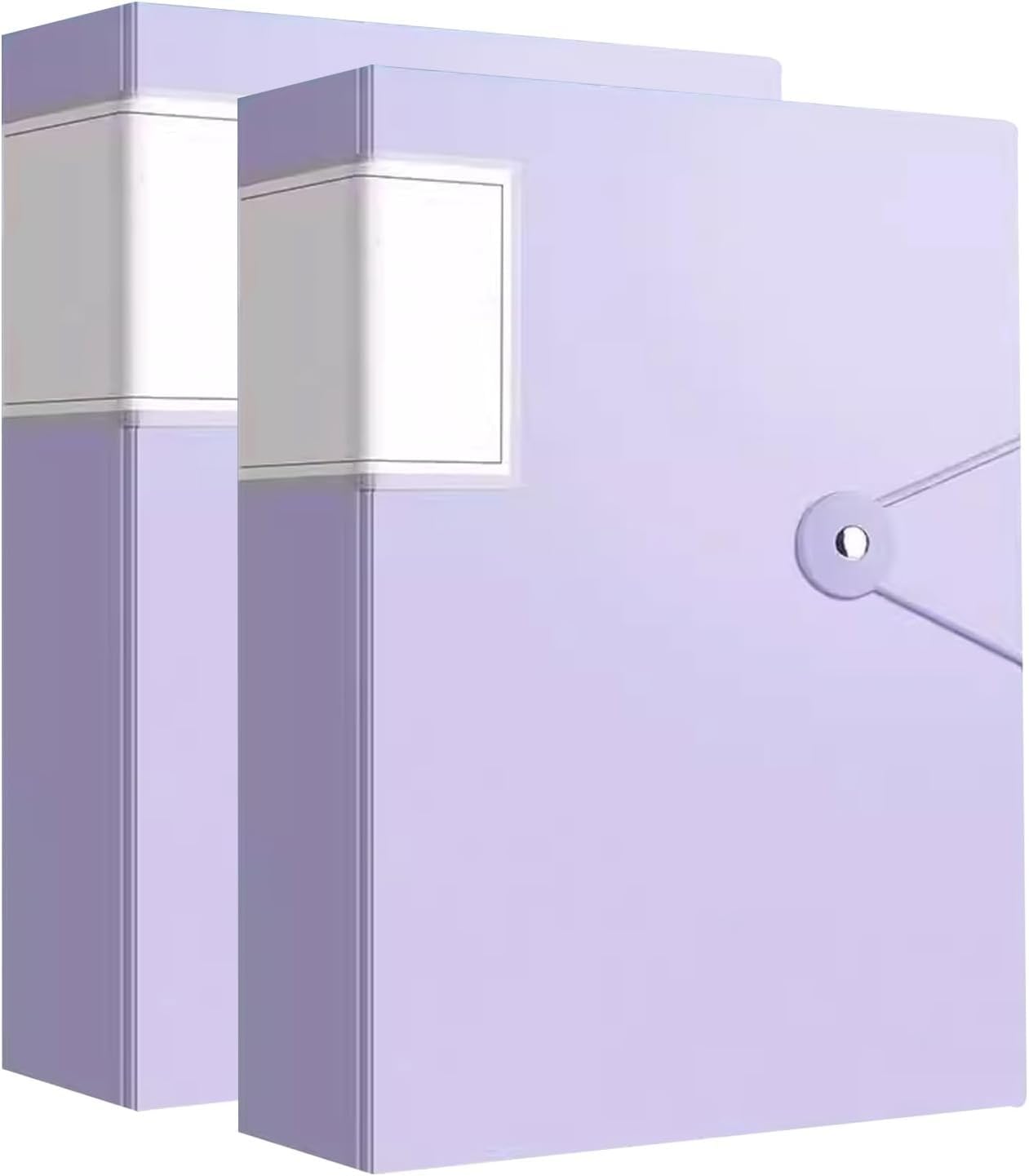 Cartelle, Libro di presentazione A4 Portfolio con tasche trasparenti da 100 pagine 2 cartellette, multicolore(Purple)