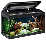 urna acuario marino Grosor del cristal 6mm ACUARIOS ACUARIO STARTER DE 60 LITROS CON TAPA Y LUZ LED