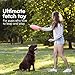 Black Rhino Dog Frisbee Toy - Rubber Frisbee for Dogs - Strong and Durable - Dog Play Toy - 100% Rubber Material - 7.2 x 7.5 inches - Set of 2 - Pink
