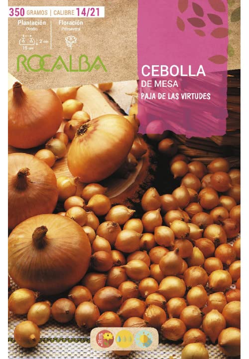 Bulbo de cebolla para plantar variedad 'paja virtudes' 350gr - Rocalba
