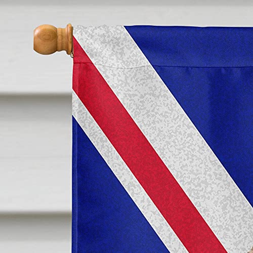 Drapeau Irish Wolfhound étanche et résistant Union Jack pour mât